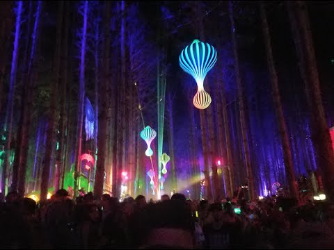 Electric Forest Music Festival 2016 After Video - Danny McDonald