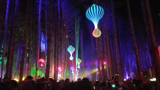Electric Forest Music Festival 2016 After Video - Danny McDonald