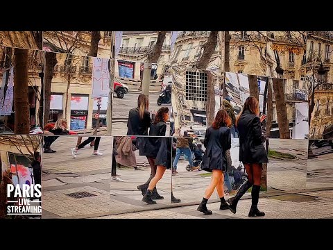 PARIS Daily live Streaming  16/Mar/2022