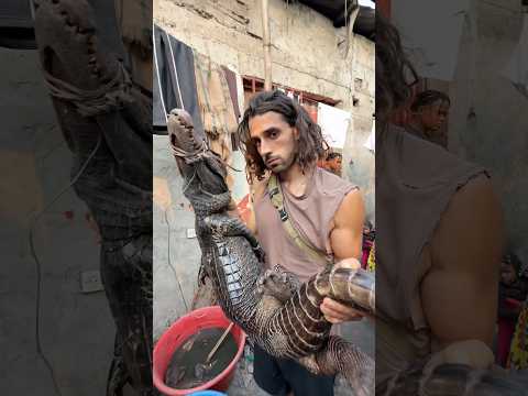 Est ce qu’on mange bien au Congo ?! 😰🐊