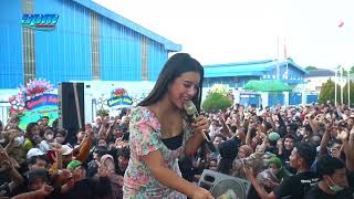 Download lagu #JOGJA ISTIMEWA #desitata #Spmmusic 5th Anniversary PT. HSK JEPARA / AUDI Digital Audio mp3 Download lagu #JOGJA ISTIMEWA #desitata #Spmmusic 5th Anniversary PT. HSK JEPARA / AUDI Digital Audio mp3