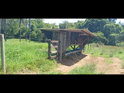 17 ALQ E 29 LITROS VALOR 4.300.000 62 98141 4270 CEZARINA GO 70 KM DE GOIÂNIA 