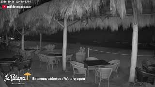 Los Muertos Beach Cam – La Palapa Puerto Vallarta, México 🇲🇽 live webcam