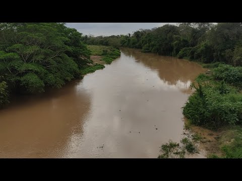 Enchente chegando no Rio Itapicuru após as fortes chuvas na Bahia 
