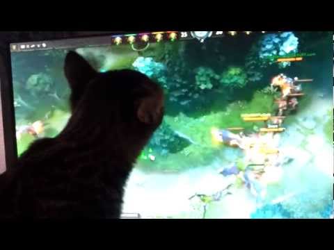 Mugen playing DotA 2