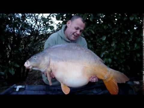 Venue videos photo 3