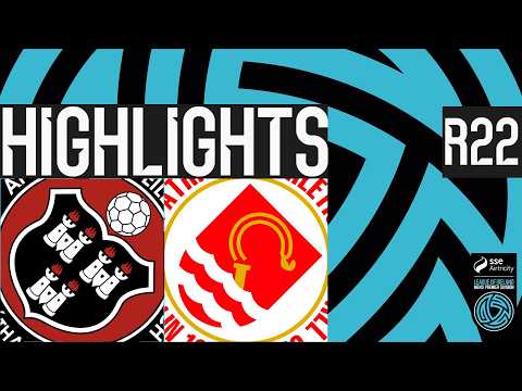 bg-highlight