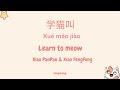[Meow meow song] Learn to Meow《学猫叫-Xué māo jiào》- Xiao PanPan & Xiao FengFeng