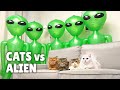 Cats Vs Alien Kittisaurus
