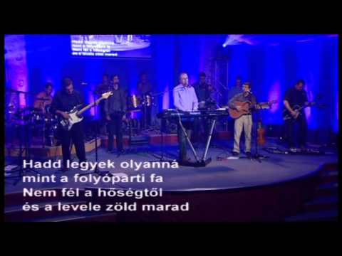 LET'S GOSPEL FOR MEN - Áldott a férfi