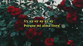 Los Auténticos Decadentes - Como La Abeja Y La Flor (Mtv) //Letraaa