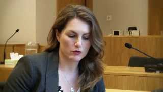 The Family Court without a Lawyer - Video 3 of 3