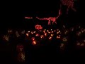 A must visit Jack O’ Lantern in New Jersey #shorts #viral #trending #fall #halloween #newjersey