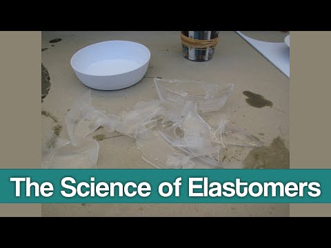 The Science of Elastomers