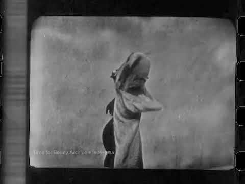 Time for Beany - Unnumbered Episode (1949, Ep. 55 storyline) - 35mm Kinescope