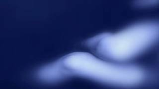 My Brightest Diamond - Bass Player