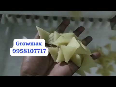 Automatic Snacks Frying Machine