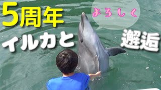 孤独のグルメのロケ地巡りしてたら、最終的にイルカと戯れることができた件！