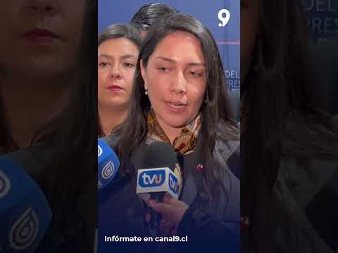 Confederación Portuaria convoca paro nacional    puertos de Coronel y San Vicente paralizarán labore