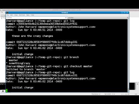 Launchcode Git Branching