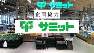 【公式非公式振付動画】サミットファンの歌 /cover【周央サンゴ】