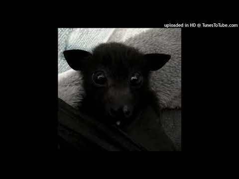 (free) fendiglock + 4n way + plohoyparen + mayot type beat "gagol"