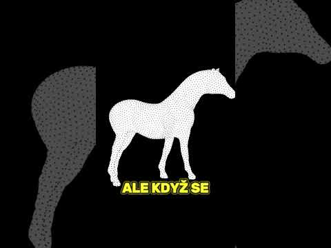 Točí Se Doprava, Nebo Doleva? #illusion