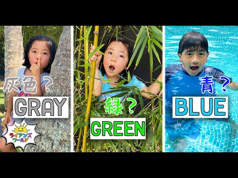 Hide and Seek in your color Challenge🎨