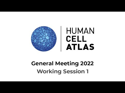 HCA General Meeting 2022 - Working Session 1: Gut, Pancreas, Oral   Craniofacial + Genetic Diversity