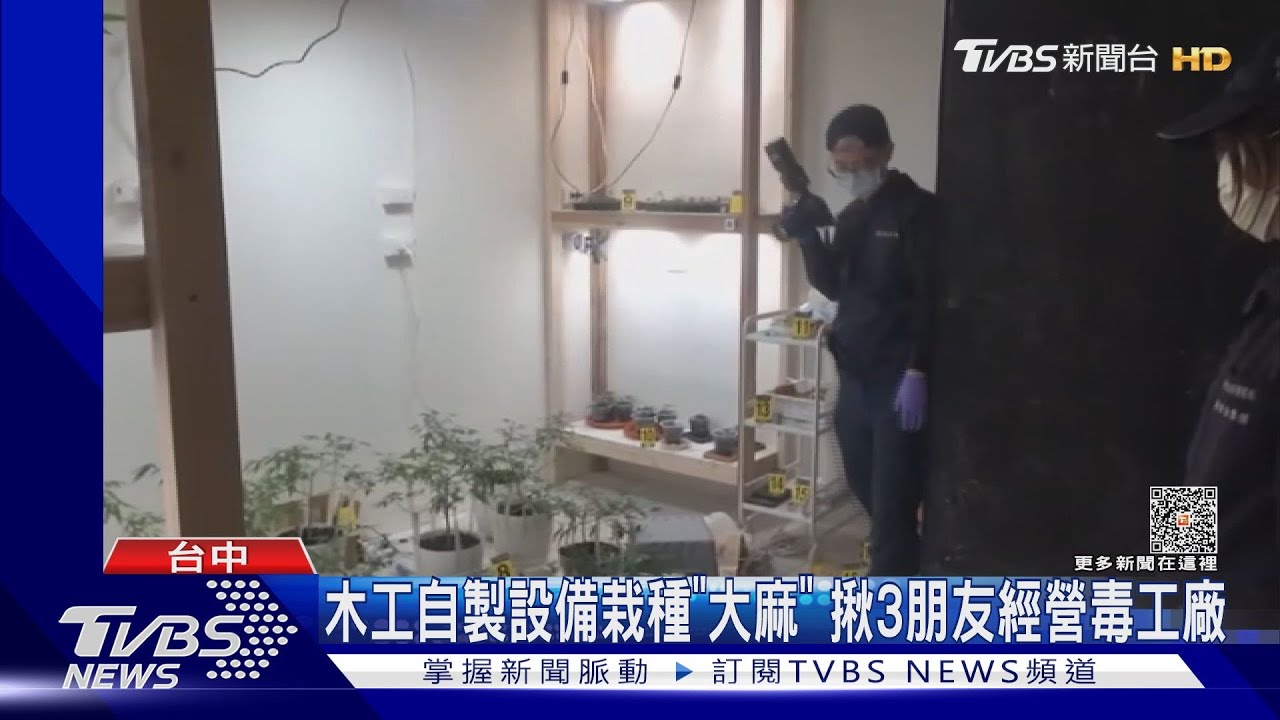 木工自製設備栽種「大麻」　揪3朋友經營毒品工廠