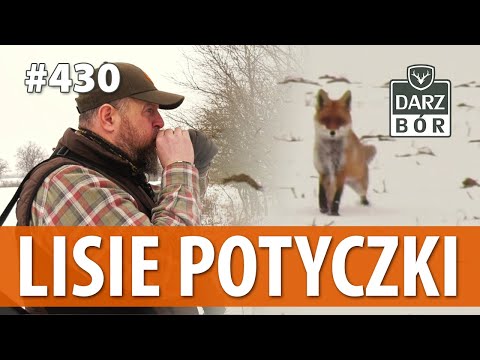 Darz Bór odc. 430 Lisie Potyczki