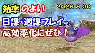 【ドラクエ10生配信No.333】効率のよい日課・週課など　2026.8.30