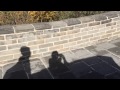 Vlog Beijing Trip Trailer 2014 一分鐘預告片 Yang Yi Fang