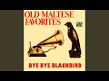 Bye Bye Blackbird