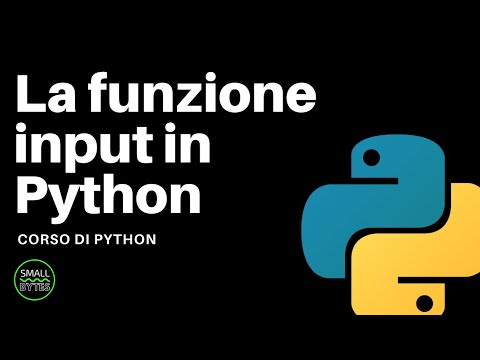 La funzione input in Python