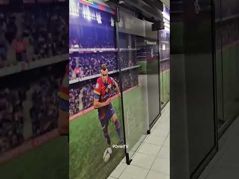 WAS FÜR EIN COOLER DURCHGANG 🔥 FC Basel vs FC Luzern