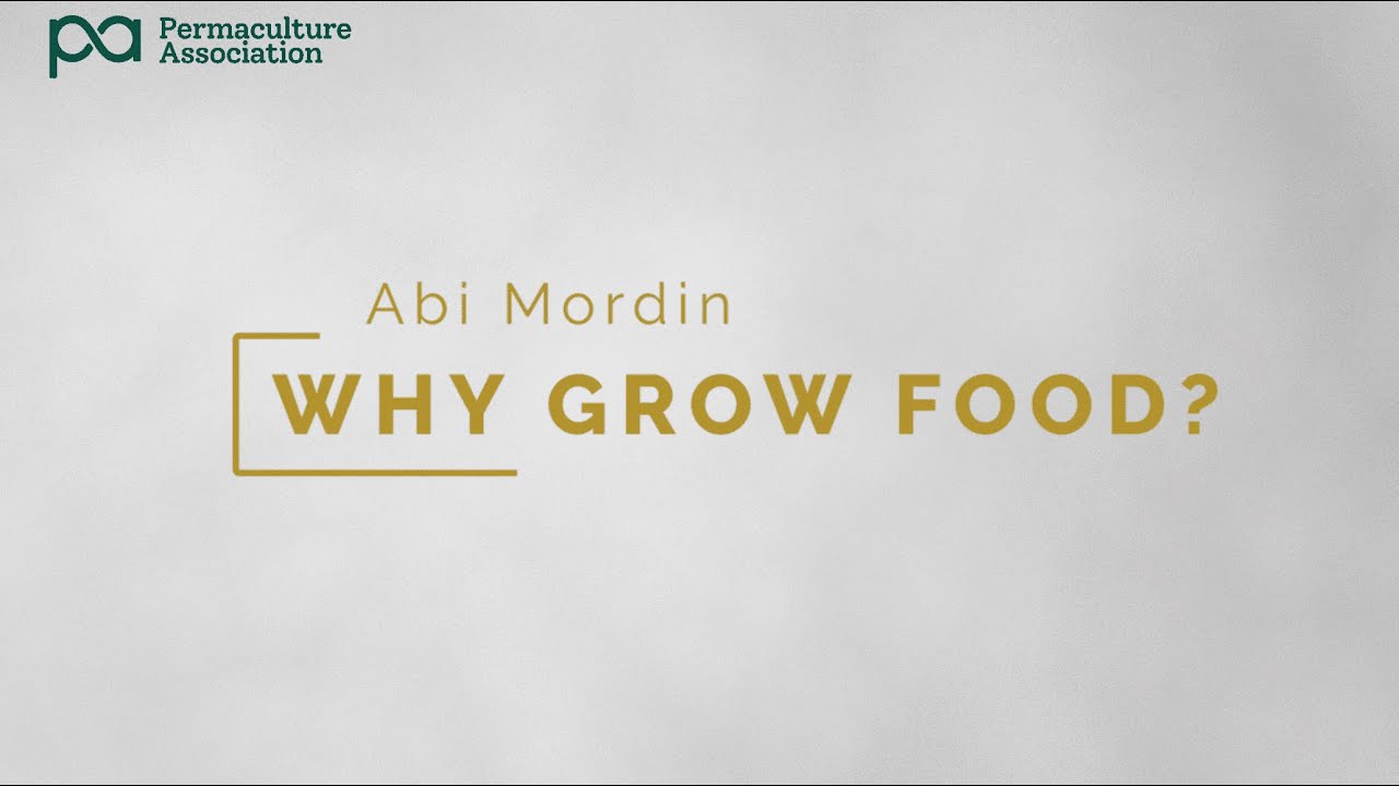 Why grow food: Wise words from permaculture & regenerative educator Abi Mordin