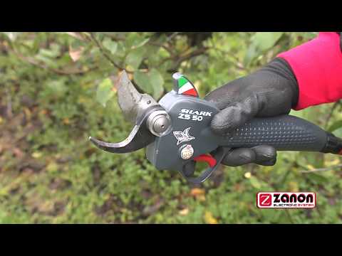 Zanon Shark ZS 50 Cordless Pruning Shear 50,4V 7
