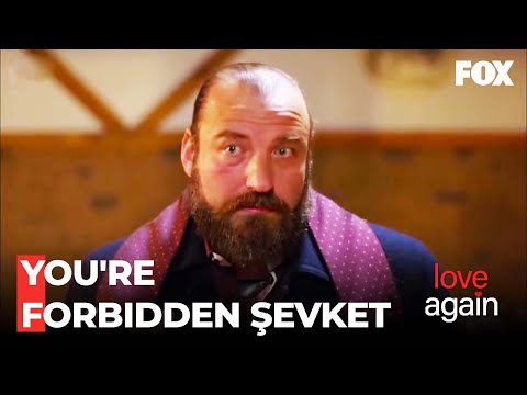 Haydar The Drill Vs Captain Şevket - Love Again Episode 142