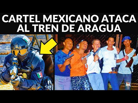 Mexican cartel declares war on the Araguá train