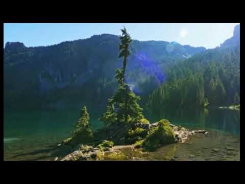 Who Could Change cover