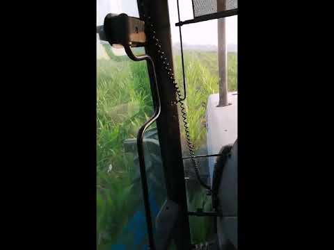 Lamborghini racing 150