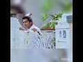 Naguva Nayana Song Ilaiyaraaja Song Simbu Trisha Whatsapp Status