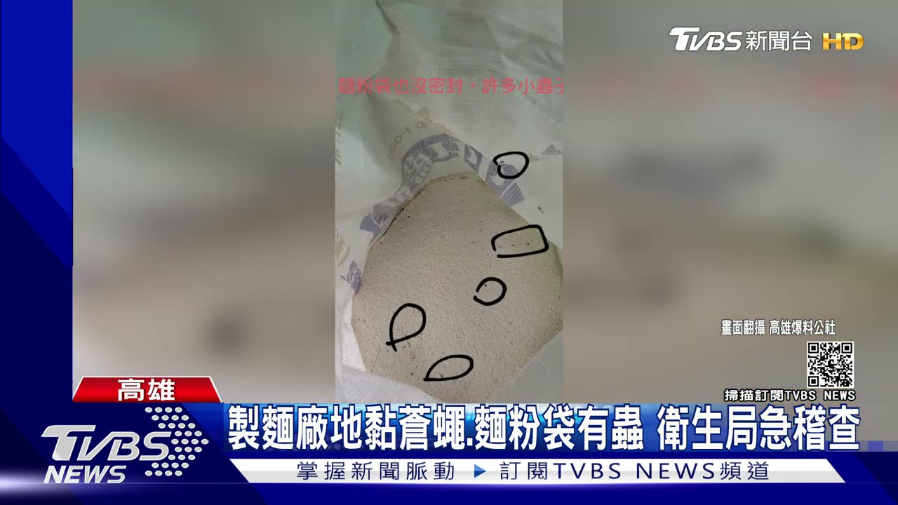 歐麥尬！製麵廠地黏蒼蠅、麵粉袋有蟲　衛生局急稽查