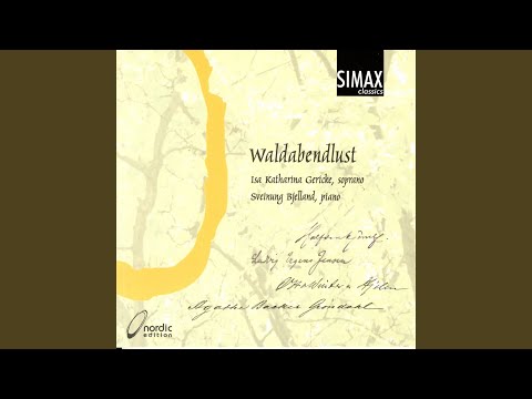 3. Die Weide Im Wind