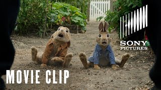 Peter Rabbit - 3 Card Monte Clip - Starring Domhnall Gleeson & James Corden
