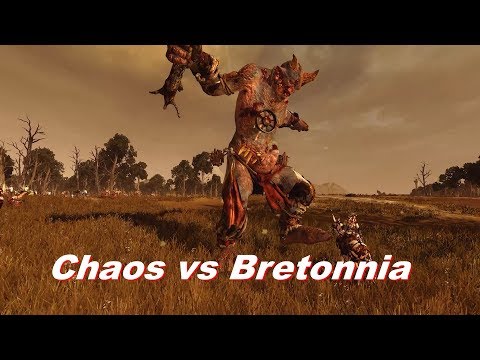 Chaos vs Bretonnia - Multiplayer, Total War: Warhammer 2