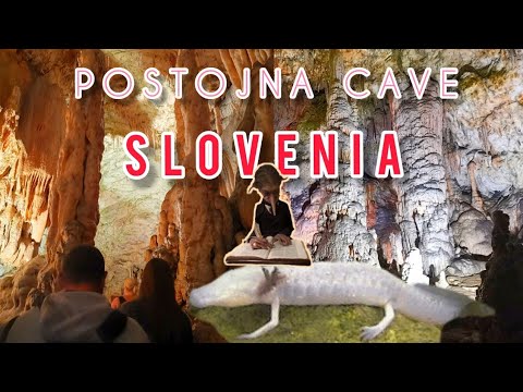 Slovenia travel to real life Gringotts Vault + see a Mythical Beast (Olms) | Park postojnska jama