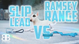 How To Stop Your Dog Pulling On The Lead! (LEAD WALKING TUTORIAL)
