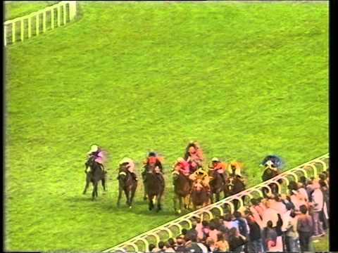 1993 Grand Met Handicap